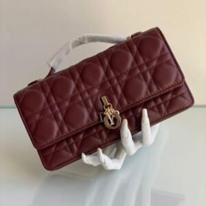 شنطة ديور