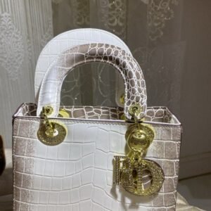 شنطة ديور